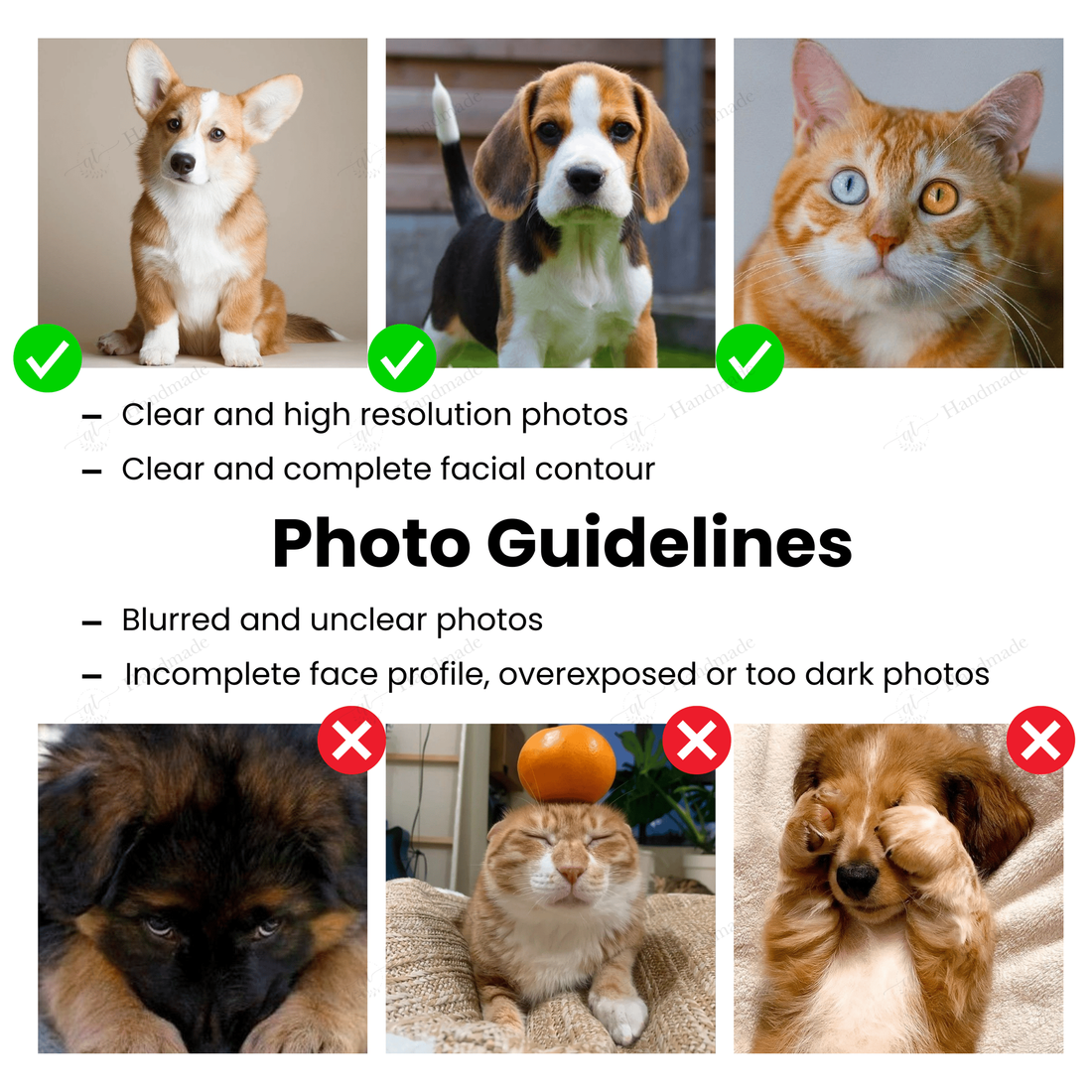 1 or 2 Pets in Fall Pumpkin Vibe Embroidery High Top Converse